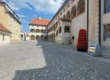 The Old Counts' Mansion