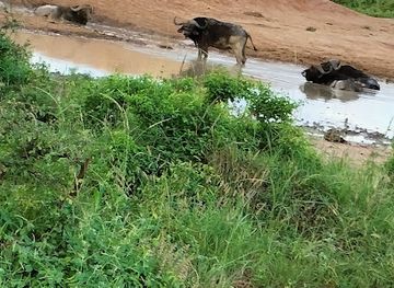 kenya/taita-hills/attraction/tsavo-west-national-park-northern-maktau-gate