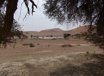 namibia/namib-naukluft-national-park/attraction/sossusvlei