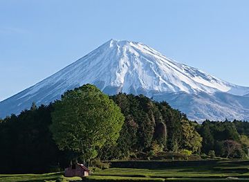 japan/mount-fuji/attraction/obuchi-sasaba