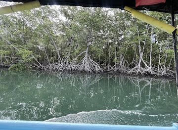 costa-rica/playa-flamingo/attraction/enrique-s-estuary-tours