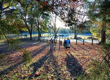 north-carolina/greenville/attraction/west-meadowbrook-park