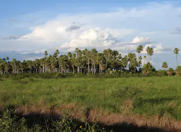 Parque nacional de Otuquis