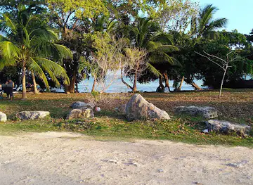 Mangrove Park