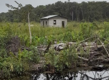 guyana/anna-regina/attraction/triple-a-fresh-fish-farm