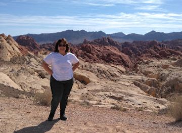 nevada/lake-mead-national-recreation-area/attraction/star-trek-pilgrimage-site