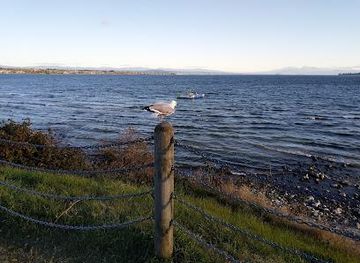 new-zealand/taupo/attraction/lake-terrace