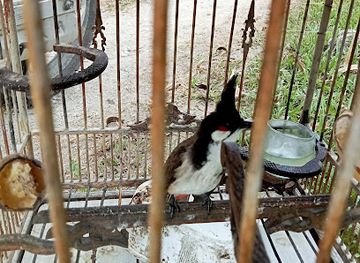 thailand/nakhon-si-thammarat/attraction/baan-suan-phunaphong