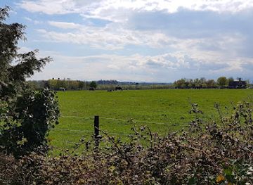ireland/kilkenny/attraction/the-national-reptile-zoo