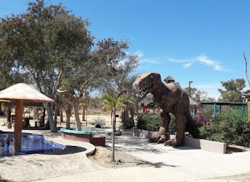 mexico/cabo-san-lucas/attraction/los-mezquites