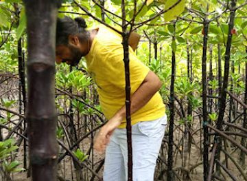 kenya/mombasa/attraction/mikindani-conservation-site