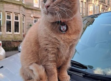 united-kingdom/glasgow/south-side/attraction/freddy