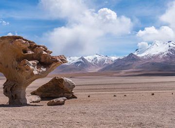 bolivia/altiplano/attraction/arbol-de-piedra