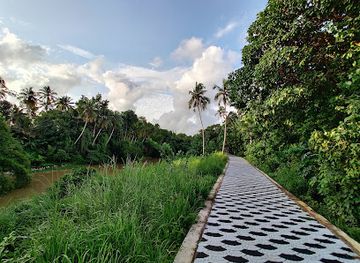 india/trivandrum/attraction/neeramankara-walkway