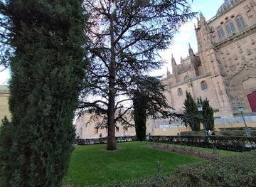 spain/salamanca/attraction/plaza-de-anaya