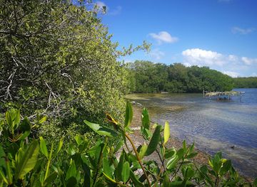 colombia/caribbean-region/attraction/parque-nacional-manglares-de-old-point