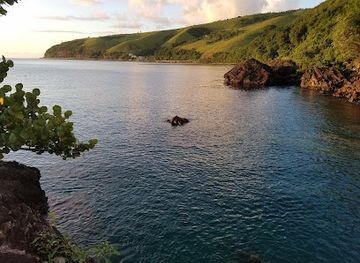 dominica/saint-david/attraction/rodney-s-rock