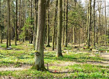 czechia/south-bohemia/attraction/branisovsky-les