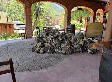 mexico/puerto-vallarta/attraction/summer-s-ranch