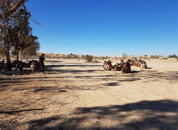israel/negev/attraction/ship-of-the-desert