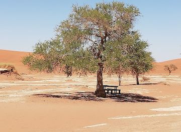 namibia/sossusvlei/attraction/deadvlei-hiking-trail