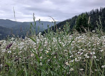 ukraine/yaremche/attraction/krayevyd-pid-makovytseyu