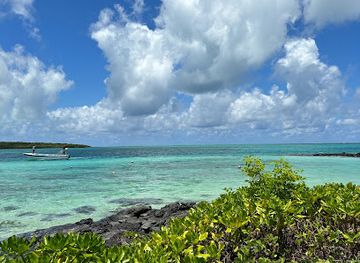 mauritius/grand-port/attraction/pointe-d-esny