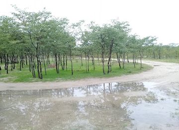 namibia/ongwediva/attraction/ovimbundu-tuvindele-park