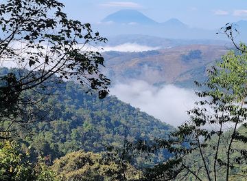 uganda/bwindi-impenetrable-national-park/attraction/ruhija-uganda