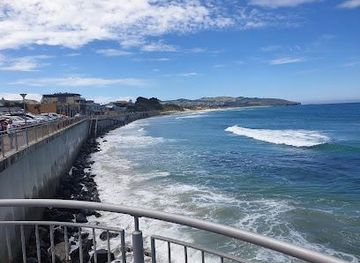 new-zealand/dunedin/attraction/saint-clair-beach