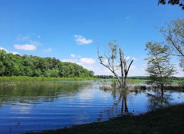 arkansas/delta/attraction/lake-poinsett-state-park