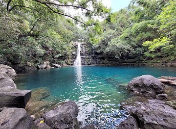 mauritius/plaines-wilhems/attraction/cascade-eau-bleu