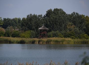 hungary/szekesfehervar/attraction/sostoi-madarles