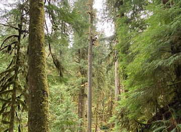 washington/mount-rainier-national-park/attraction/old-mine-trailhead