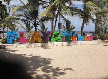 mexico/cozumel/attraction/playa-del-carmen