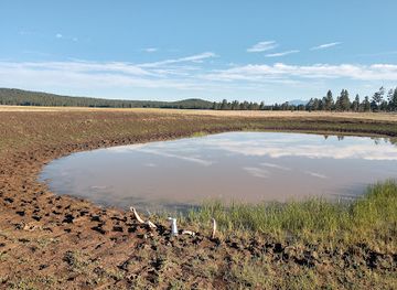 arizona/coconino-national-forest/attraction/playa-ponderosa