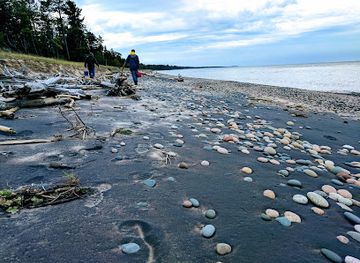 michigan/east-michigan/attraction/vermilion-point-nature-preserve