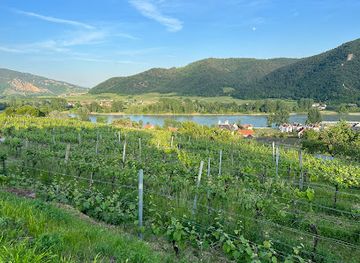 austria/wachau/attraction/vino-taurus