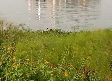 uganda/lango/attraction/namasale-landing-site