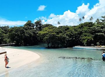 samoa/savai-i/attraction/asaga-river-pool-and-beach-fale