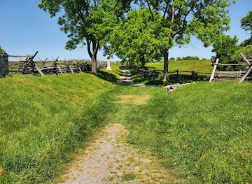 maryland/antietam-national-battlefield/attraction/america-s-national-parks-store-at-antietam-national-battlefield