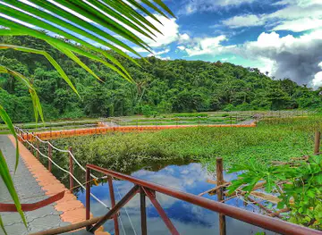 Wetland No. 3