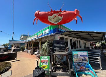 australia/hinchinbrook-island/attraction/the-big-mud-crab