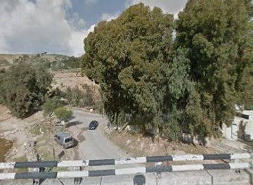 jordan/jerash/attraction/majdi-river