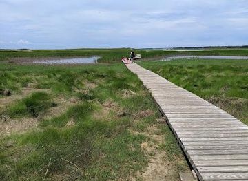 massachusetts/barnstable/attraction/mass-audubon-wellfleet-bay-wildlife-sanctuary