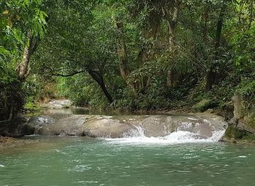 Reggae Style Mayfield Falls