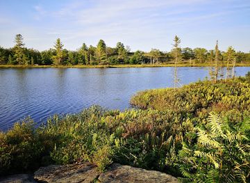 canada/northern-ontario/attraction/torrance-barrens-dark-sky-preserve