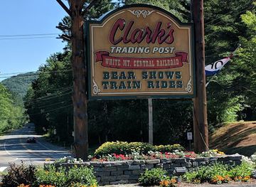 new-hampshire/great-north-woods/attraction/clark-s-bears