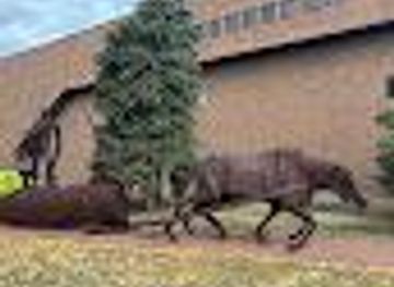 wisconsin/appleton/attraction/big-mama-and-baby-bones