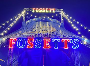 ireland/limerick/attraction/fossett-s-christmas-circus